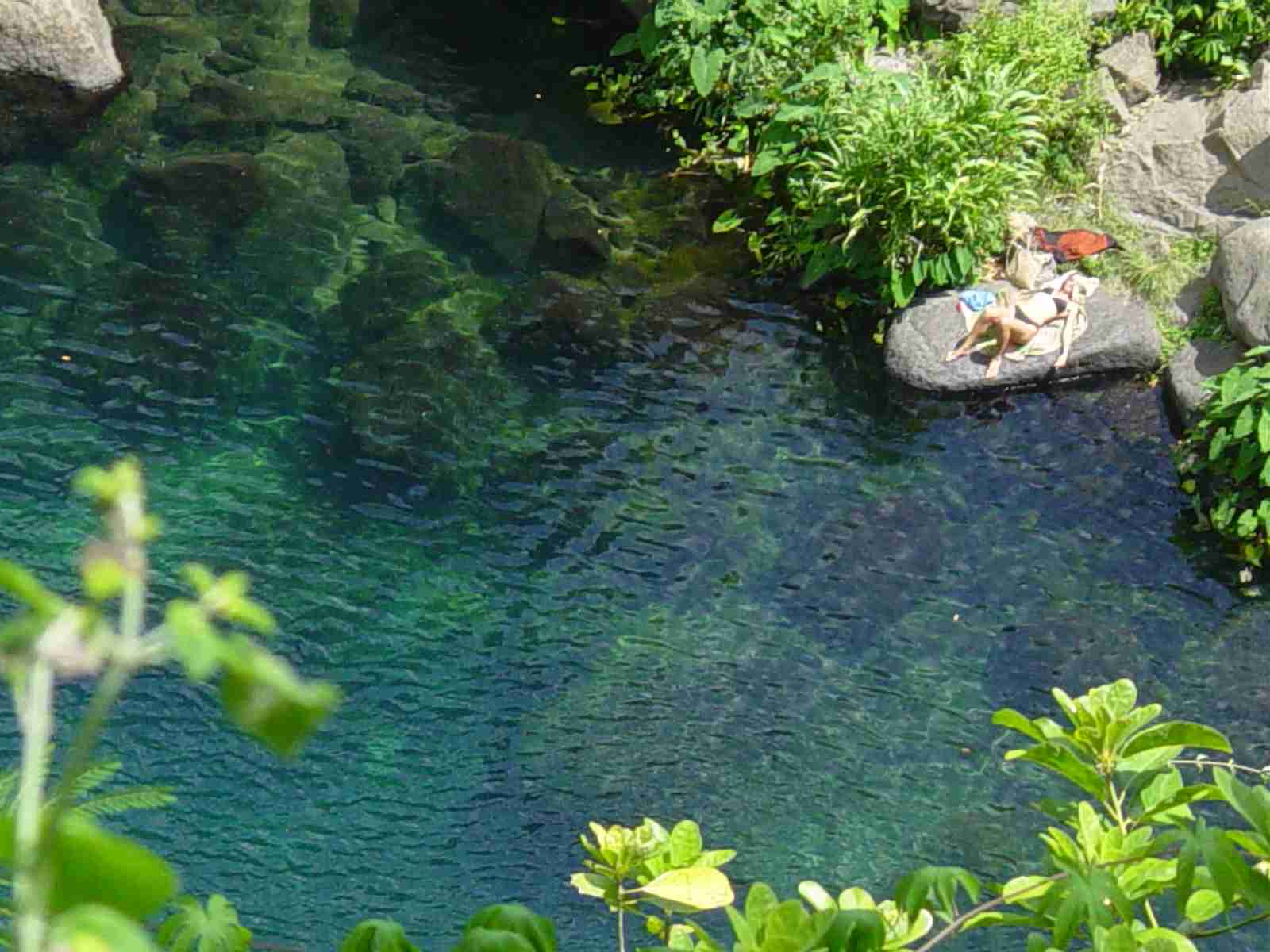 Le bassin des Aigrettes