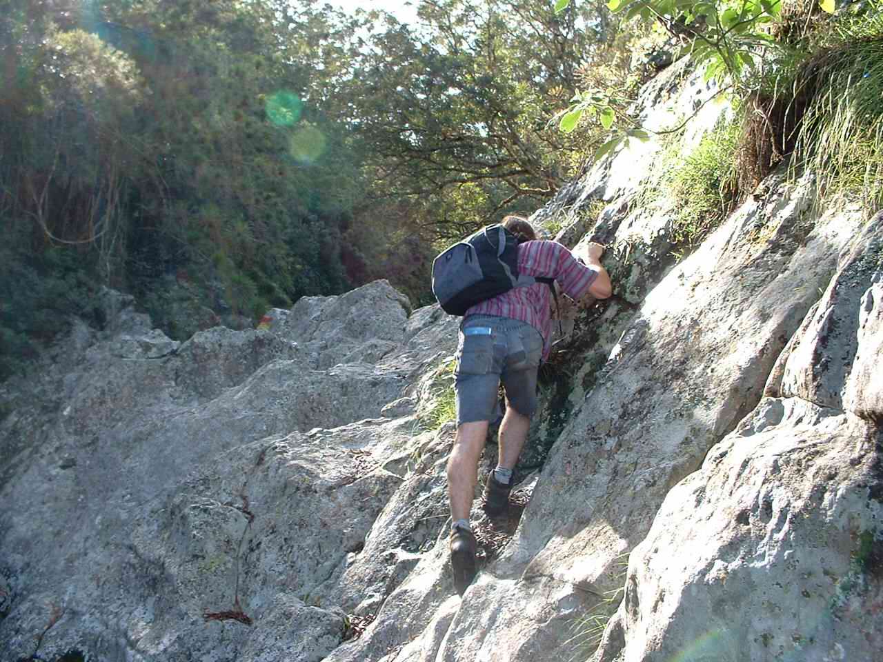 vive l'escalade