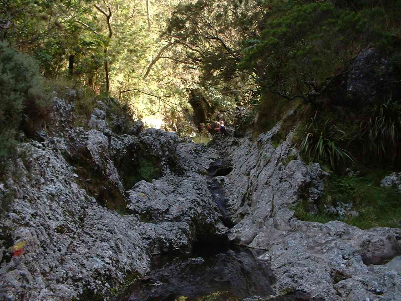 Ravine Divon