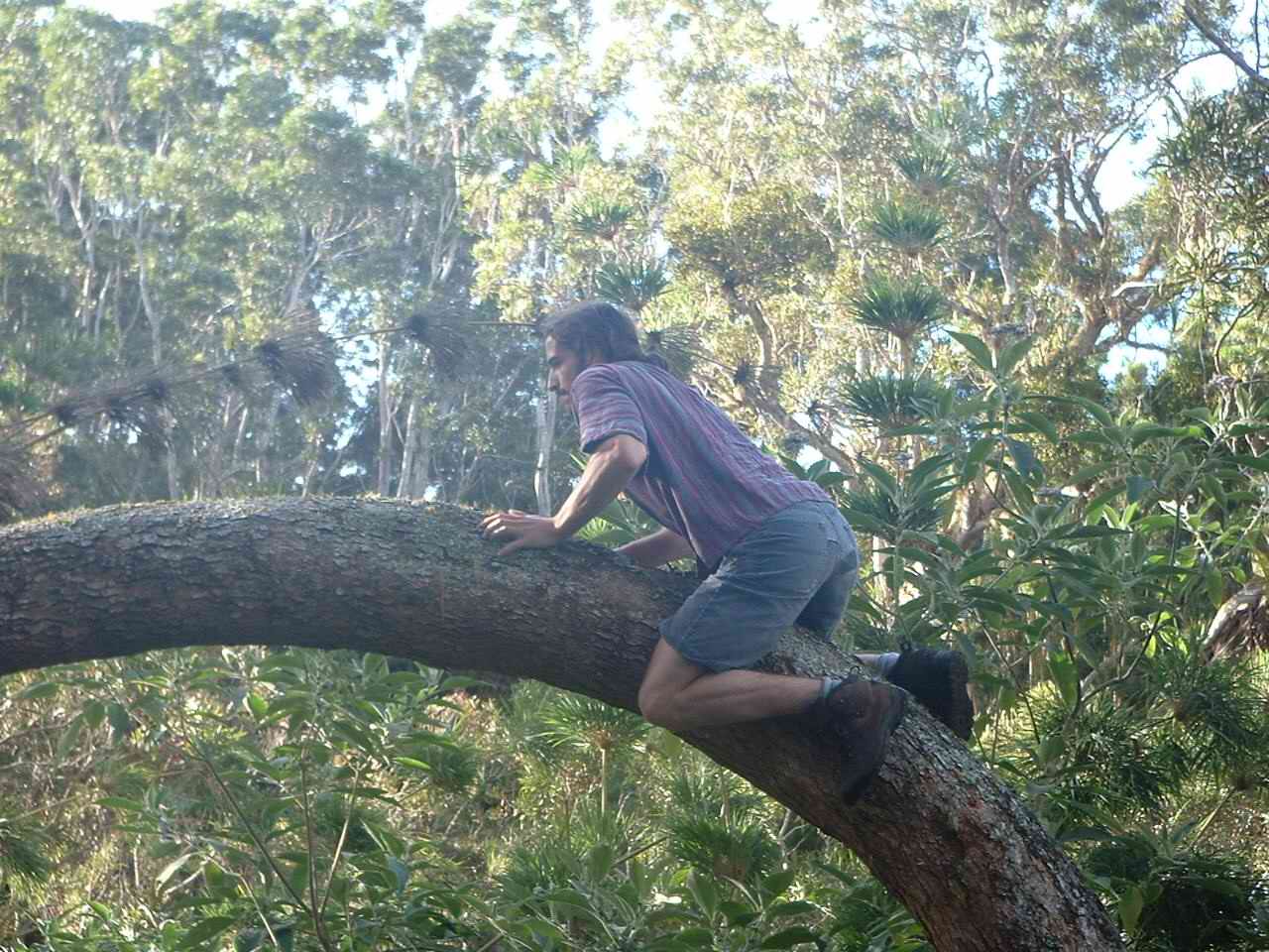 Mathias, le singe